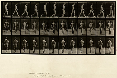 1 - Vol 1 - Plate 1